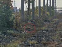 Imagine atasata: 20251031_151520.jpg